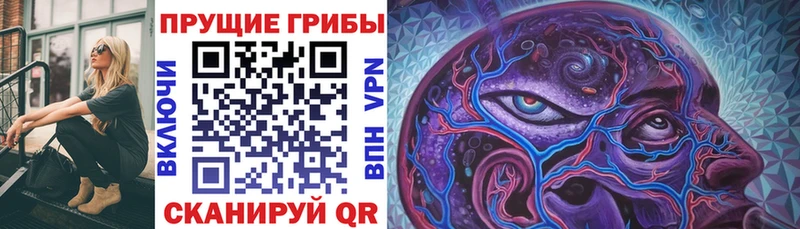 Галлюциногенные грибы мицелий  где купить   Шарья 